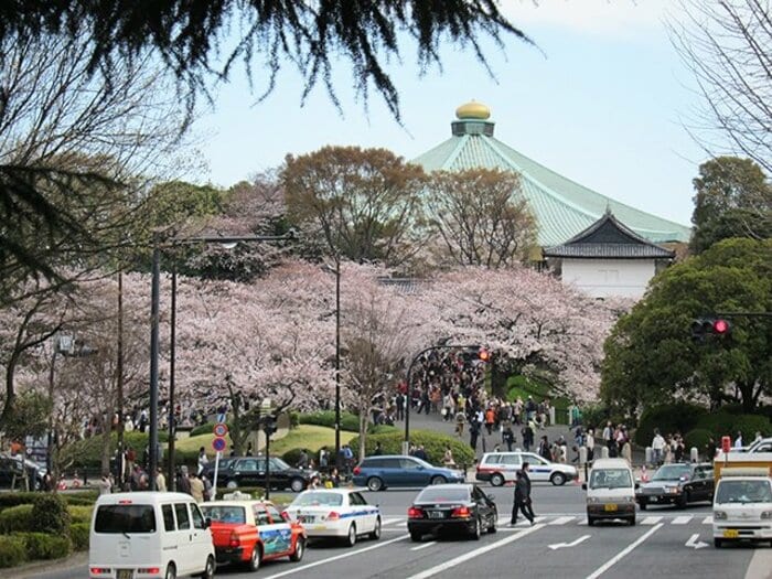 宴会自粛の千鳥ヶ淵、上野、谷中。桜の下で震災後の日本を考えた。＜Number Web＞ photograph by Satoshi Hikita