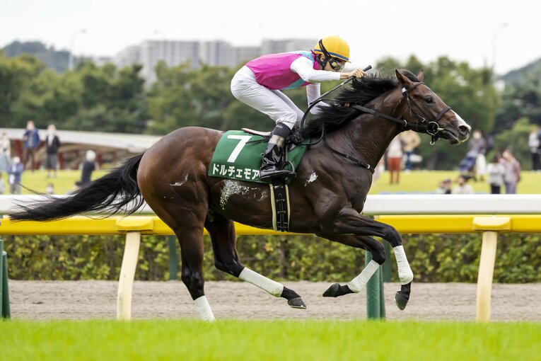 今年1月の予想では能力判定が難しかったが、サウジアラビアRCを制し2戦2勝で朝日杯に参戦するドルチェモア　©︎Photostud