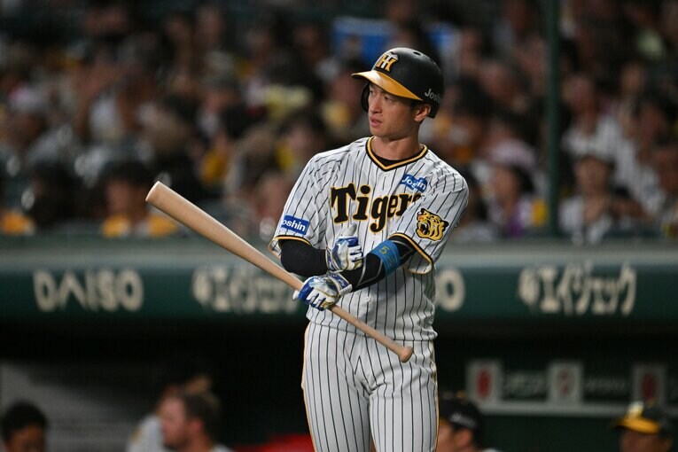 ©︎Hideki Sugiyama