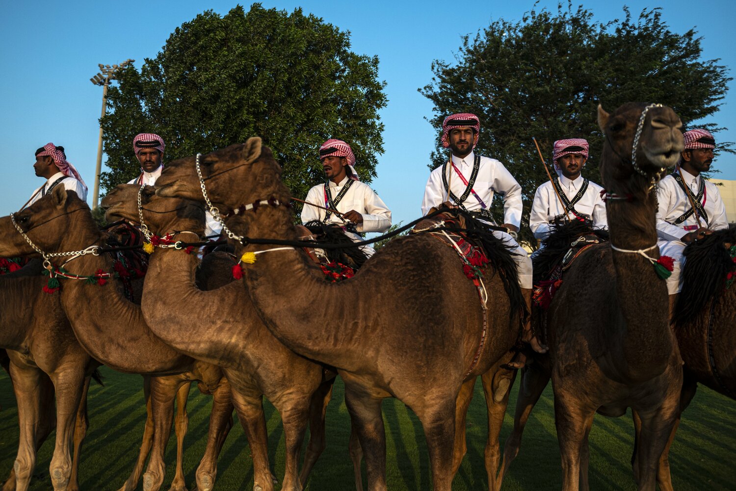 「代表が勝つと、ランクルが爆走」専門家に聞いた“カタールってどんな国?”「人口のほとんどは外国人労働者」「中東で一番友達を作りにくい