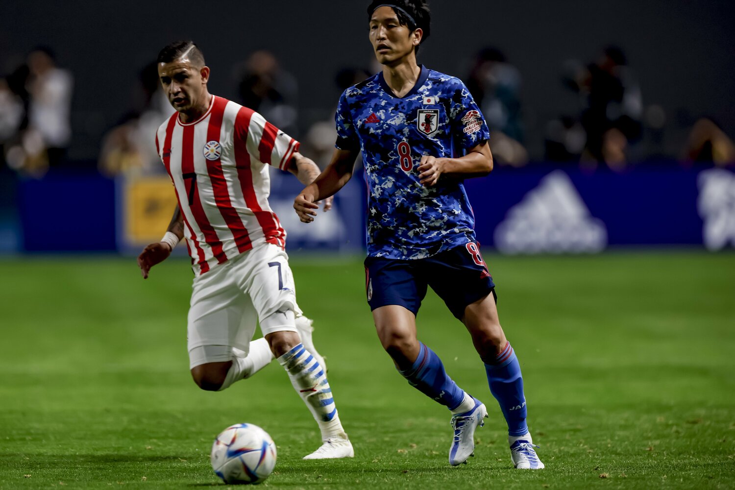 ©Kiichi Matsumoto/JMPA