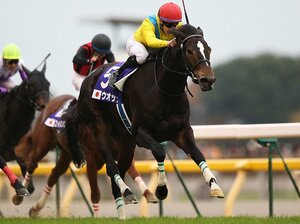 女王ウオッカが残した、強烈なる個性的蹄跡。~順調なら初仔が3年後デビュー~