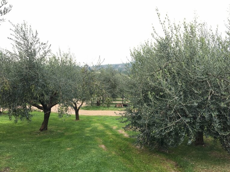 ラノッキアが携わるホテル周辺　©Takashi Yuge