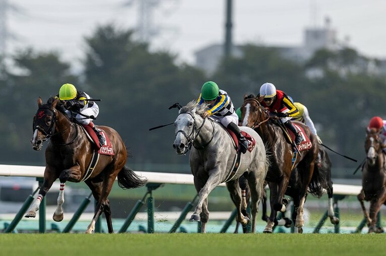 セントライト記念を勝ったガイアフォースと2着のアスクビクターモア。菊花賞でも1,2番人気になることが想定される ／ photograph by Photostud