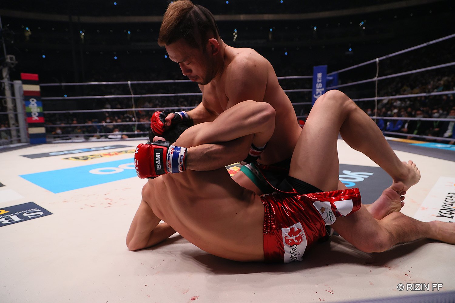 朝倉をテイクダウンするとパンチを打ちこむ扇久保。最後まで主導権を譲らなかった　©RIZIN FF