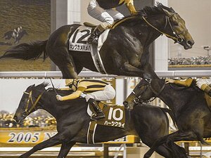 ［絶対君主であるがゆえ］凄さが霞んだ好敵手と混沌の跡継ぎ争い　キングカメハメハ／ハーツクライ／リアルスティール＆フォーエバーヤングetc.