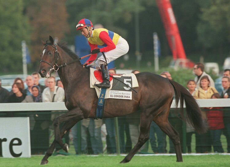 オルフェーヴルまさかの斜行”がもう10年前…海外競馬評論家・合田直弘に