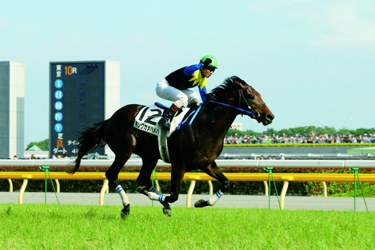 2004年、当時のレースレコードでダービーを制し、NHKマイルCとの「変則二冠」を達成したキングカメハメハ　©Yuji Takahashi