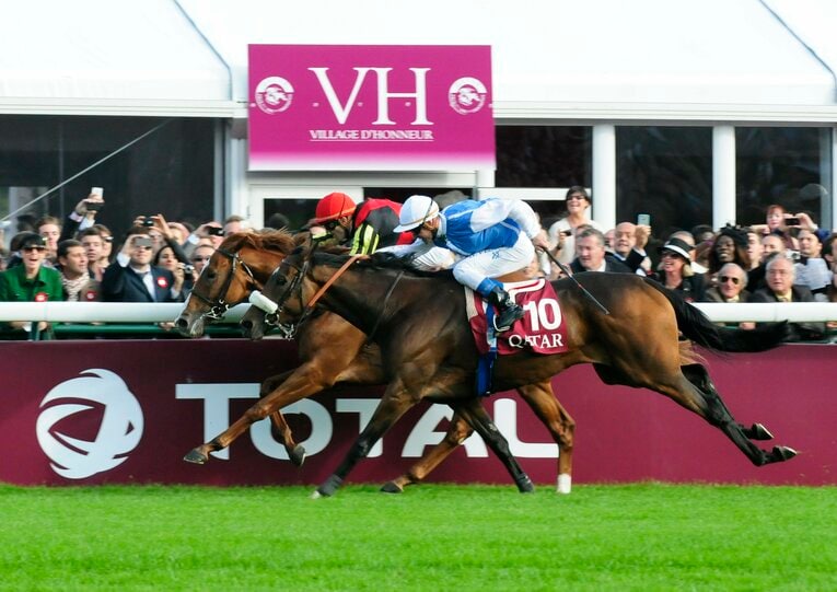 オルフェーヴル（奥）はゴール直前に失速し内側に斜行。ソレミアが迫る　©AFLO