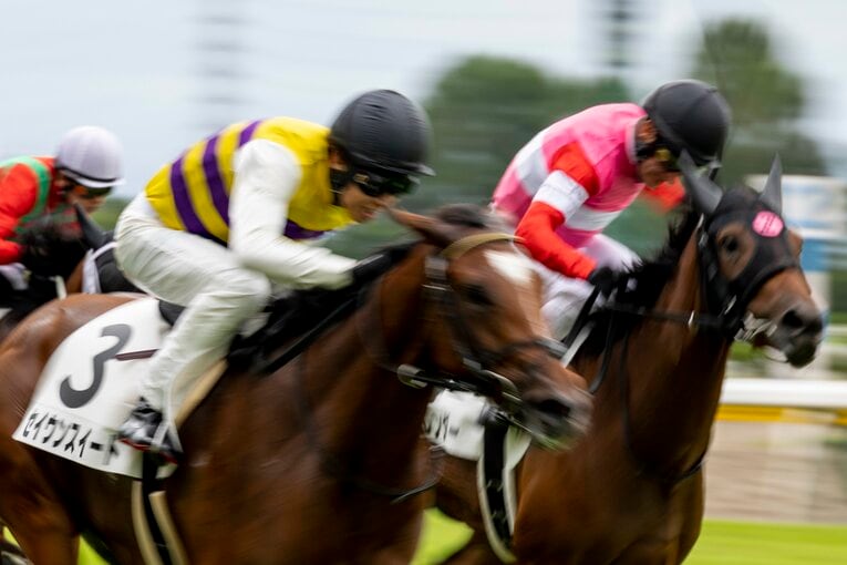 新潟競馬場にて ／ photograph by photostud