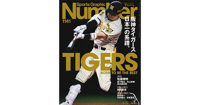 闘将星野仙一DESCENTE ブラック阪神タイガースジャケット 楽天市場】HAO×阪神タイガース・2003星野仙一監督胴上げ