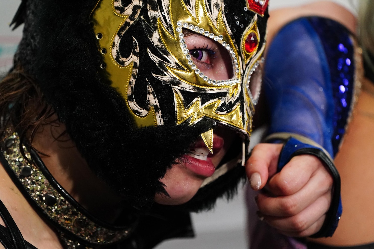 スターライト・キッドは這い上がることができるか