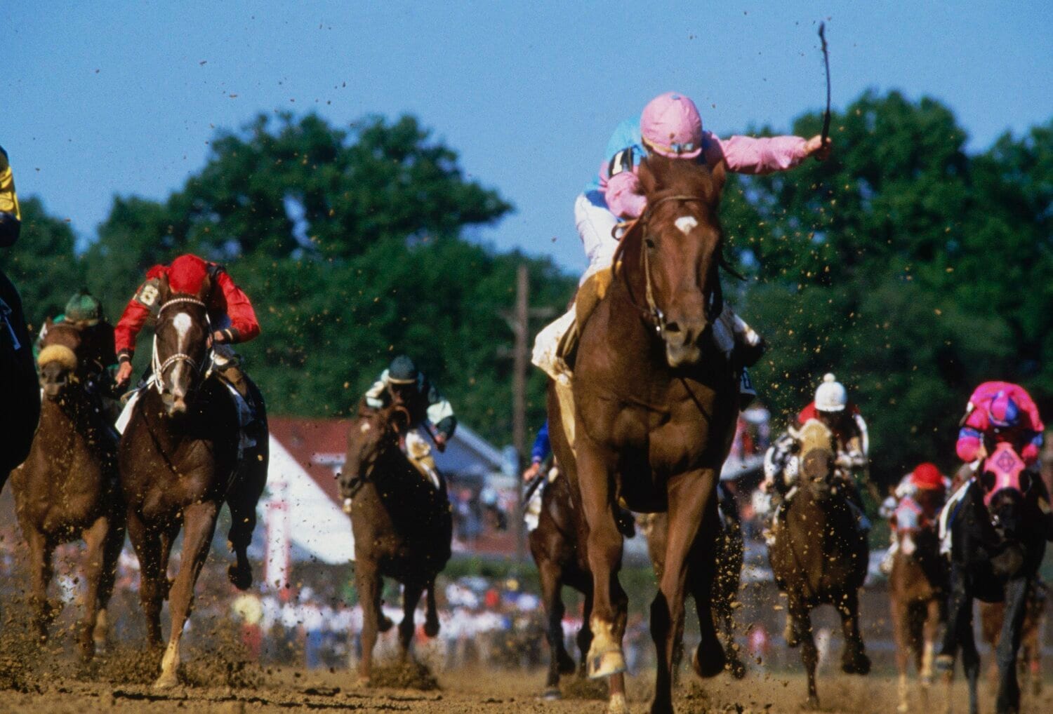 日本で 消息不明 となった名馬 ファーディナンドが遺したもの 元競走馬たちと五輪選手が目指す未来 Gi馬も繋養する新天地 2 4 競馬 Number Web ナンバー