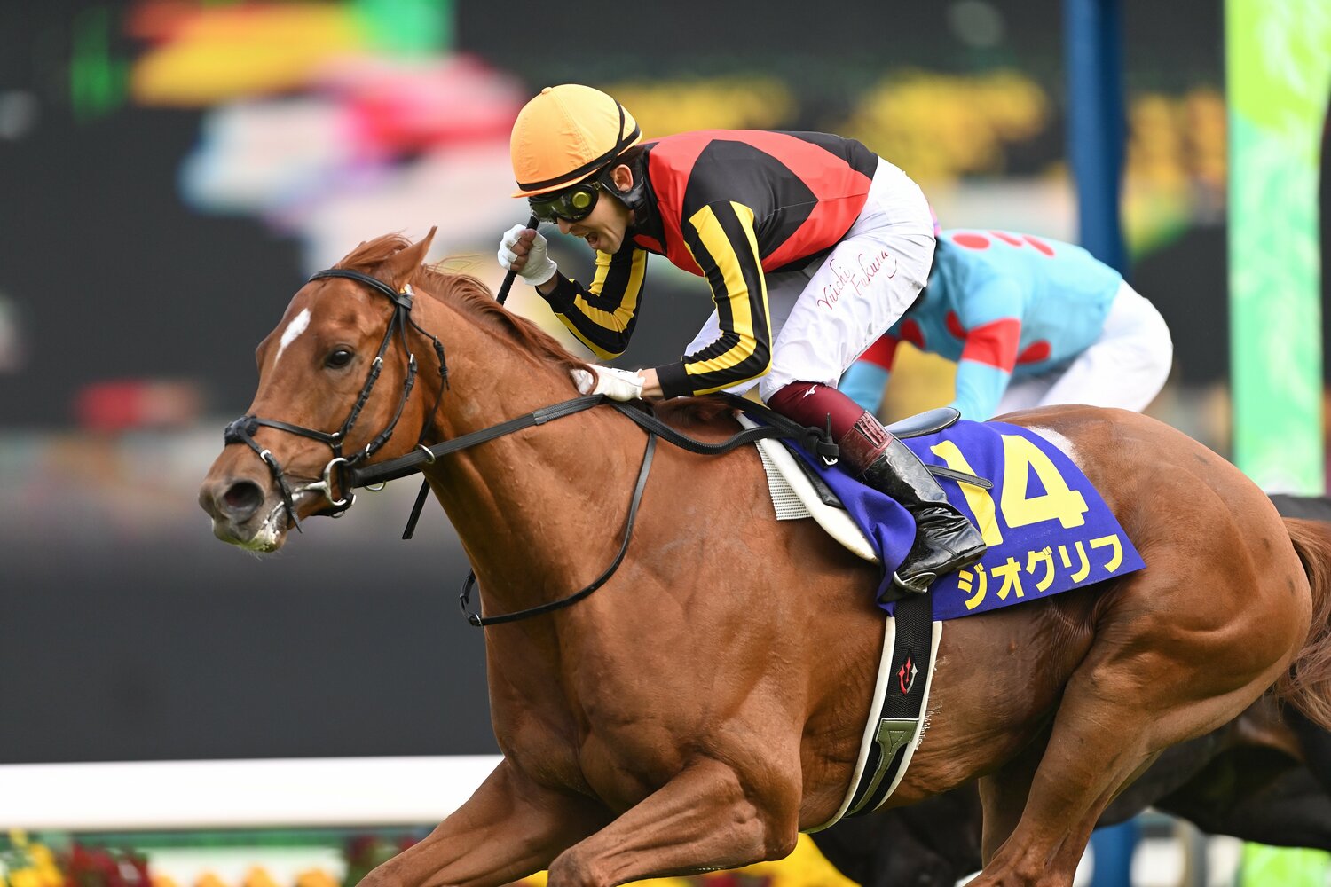 福永祐一とともに皐月賞を制したジオグリフ　©Keiji Ishikawa