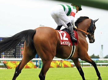 《エリザベス女王杯でGI2勝目なるか》三冠馬を圧倒した快速馬レイパパレ、馬産地の情熱がつないだ「100年の血脈」を辿る＜Number Web＞ photograph by Keiji Ishikawa