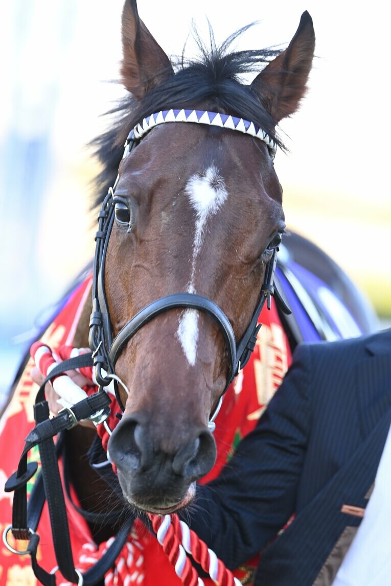 「毎年このレースが近づいてくると…」朝日杯FS“22回目の挑戦”で武豊（52）が悲願達成　“3番人気”だったドウデュースはなぜ勝てたのか？(19)