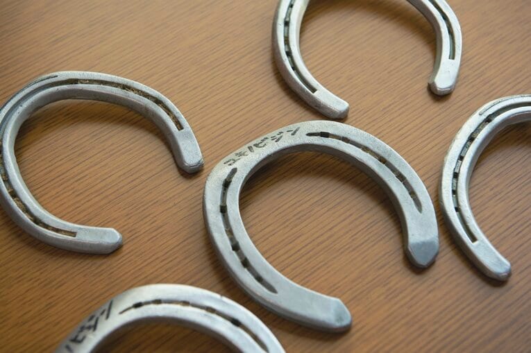 ユキノビジン、通常の銀の蹄鉄　©Wataru Sato