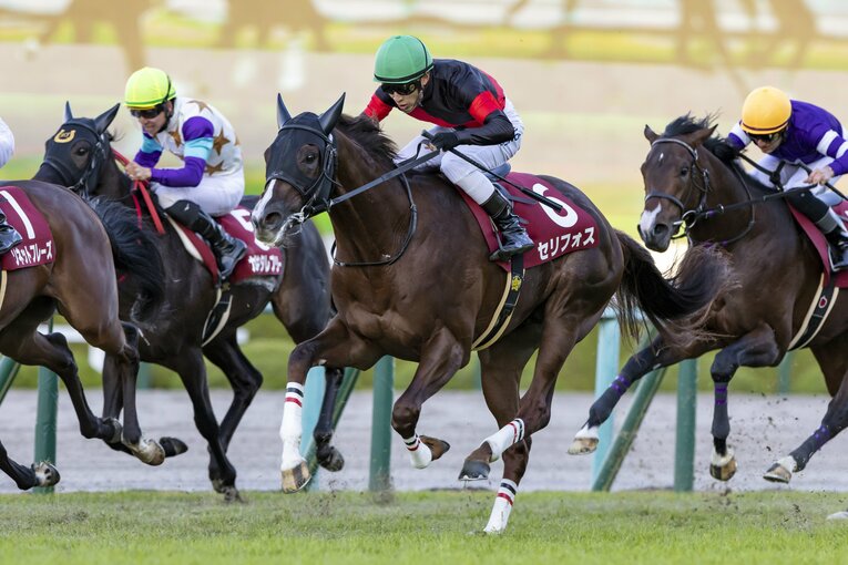 デイリー杯2歳Sを制した際のセリフォス　©Photostud