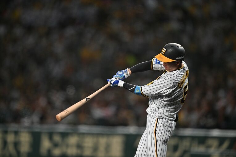 ©︎Hideki Sugiyama