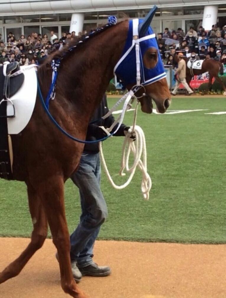 写真は本人提供