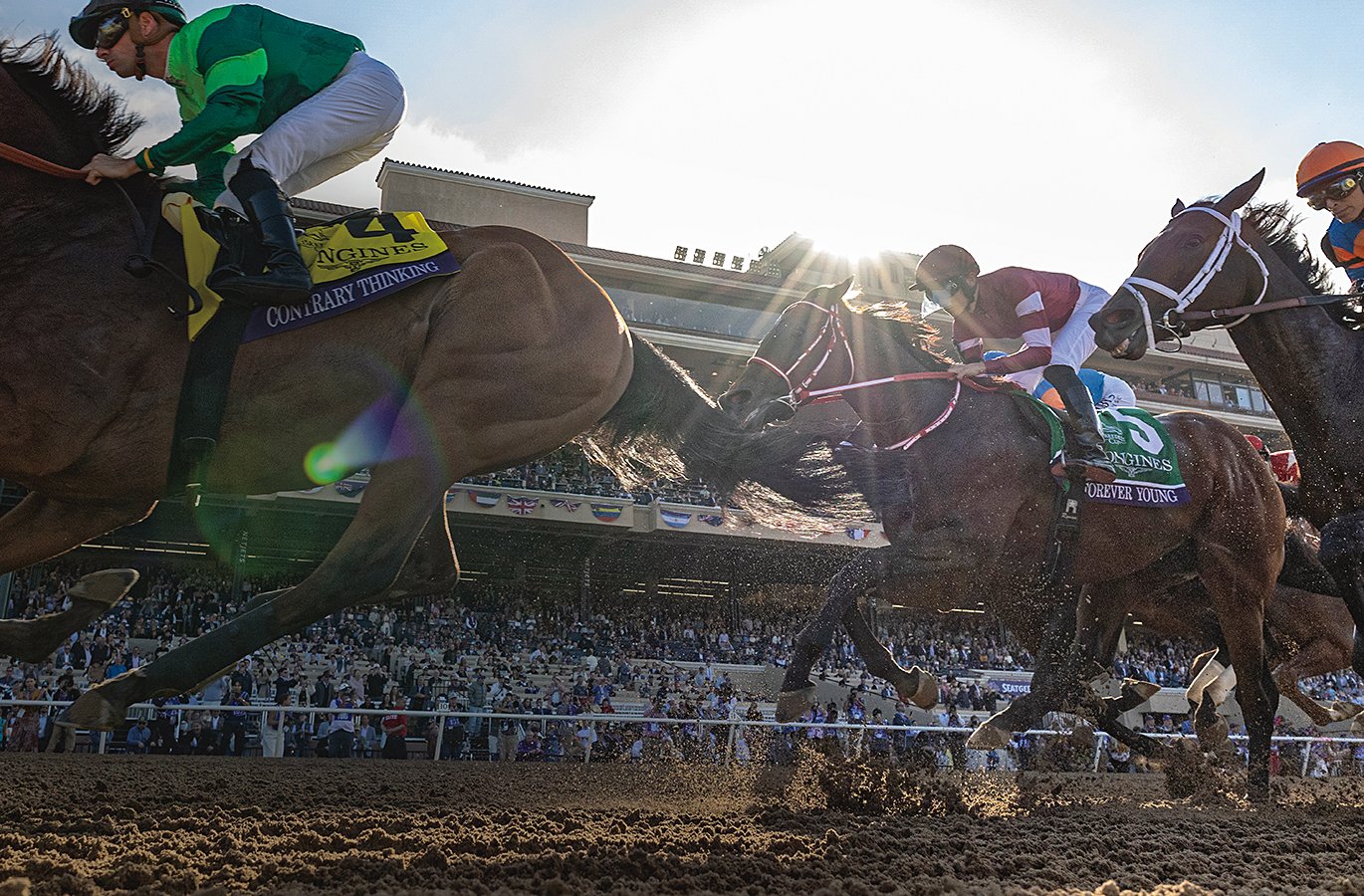 日本馬初のダート世界一達成》フォーエバーヤングを完璧な状態にした