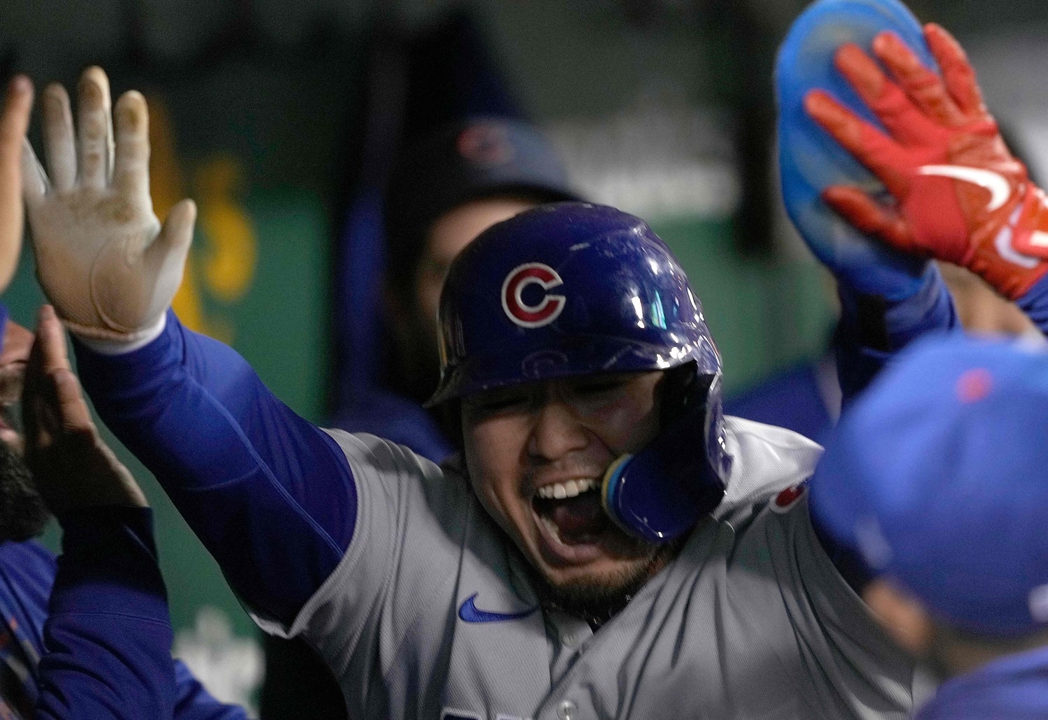 カブスのチームメイトに迎えられる鈴木。彼のシーズンはここから始まる　©Getty Images