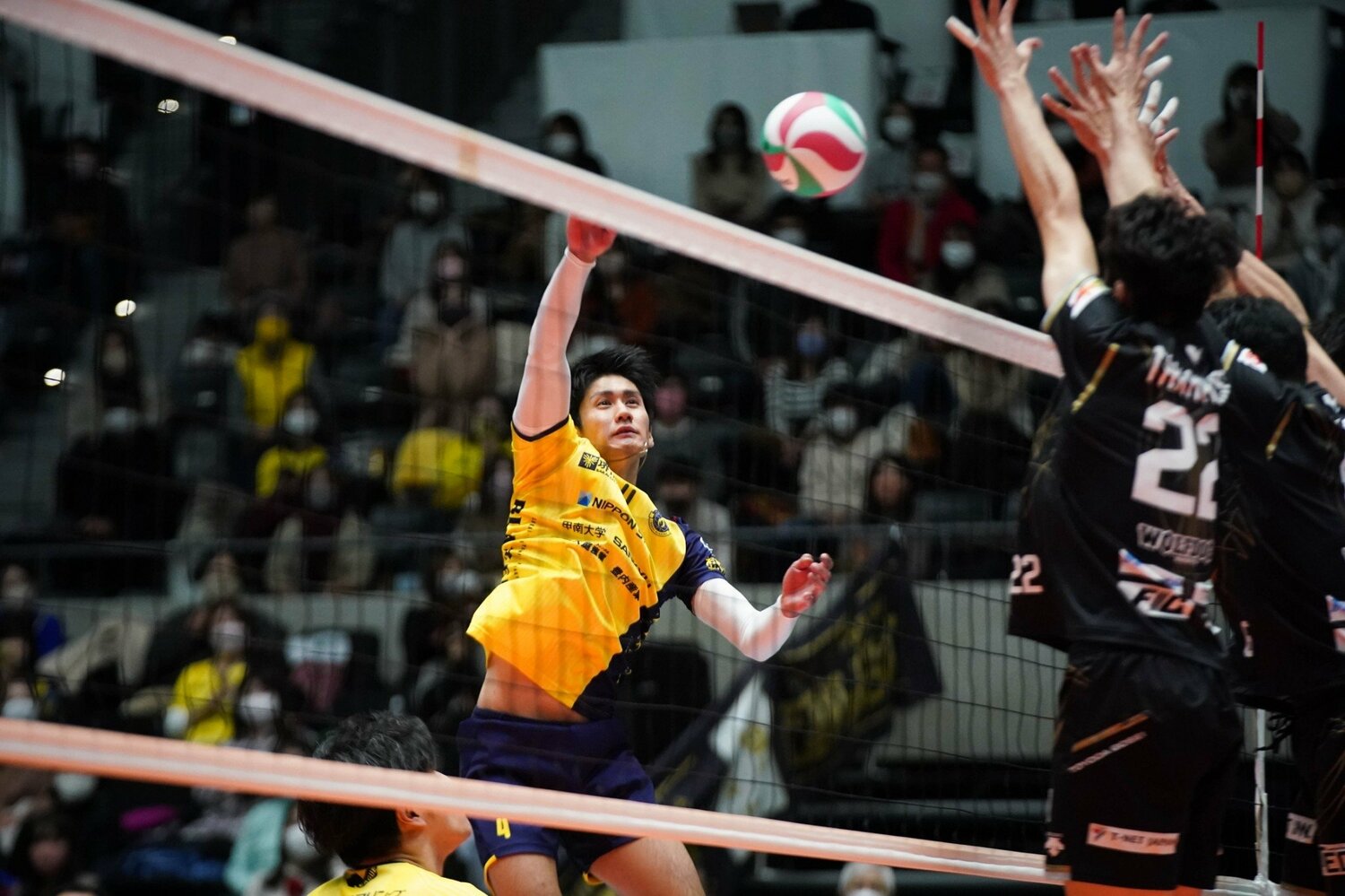 チームの躍進に貢献したアウトサイドヒッターの高野直哉　©︎JVA