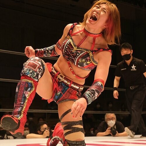 スターダム　ドンナデルモンド写真集 Amazon.co.jp: スターダム プロレス Donna del Mondo ドンナ
