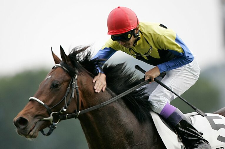 最強馬であり名種牡馬でもあったディープインパクト。最後の産駒が2022年にデビューする ／ photograph by Tomohiko Hayashi