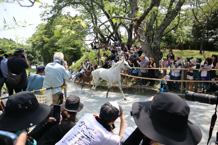 「野馬懸」に登場した芦毛馬ウォースパイト