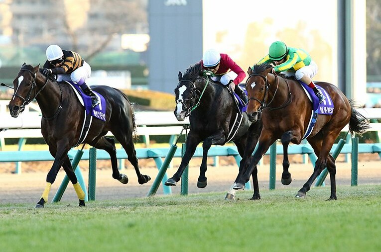 2016年有馬記念のキタサンブラックとサトノダイヤモンド ／ photograph by Yasuo Ito/AFLO