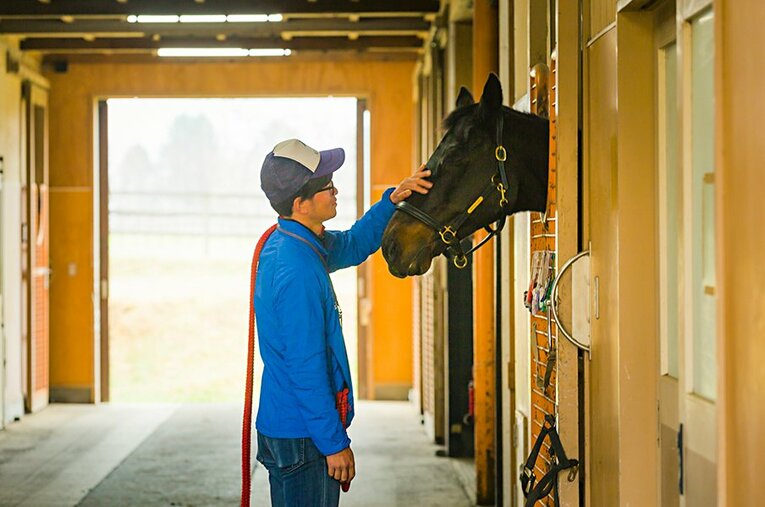 北海道で余生を過ごすウイニングチケット。多くの馬を看取ってきた太田氏はその変わらぬ馬体に驚く（2019年3月撮影）。 ／ photograph by Kei Taniguchi