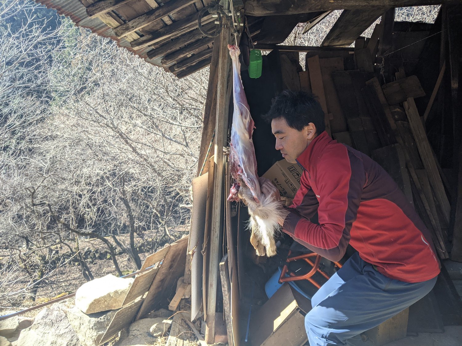 獲物を解体する服部さん　©Kensaku Wakui