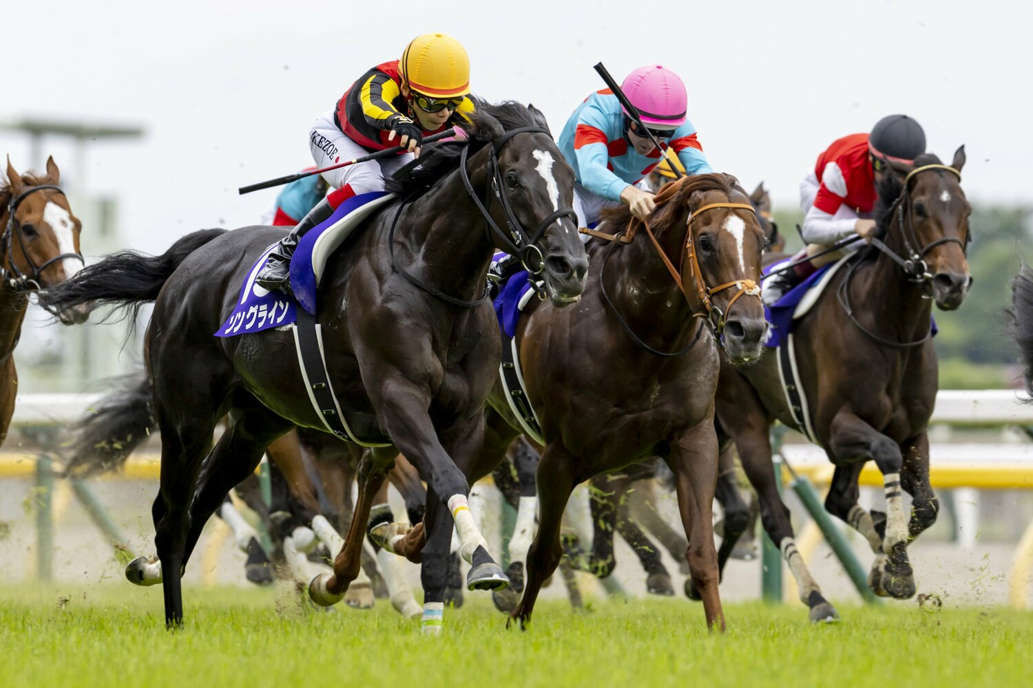東京の長い直線で自慢の末脚を存分に発揮したソングライン ©Photostud