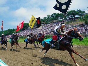 震災、原発事故を乗り越えて――。侍たちが力強く生きる相馬野馬追。