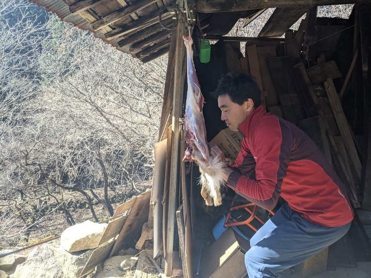 獲物を解体する服部さん　©Kensaku Wakui