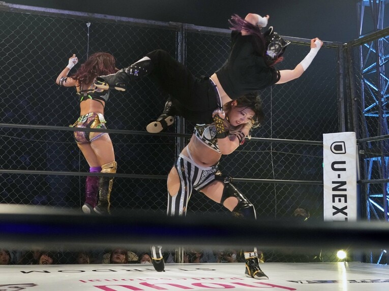 豪快にキッドを投げるレディ・C