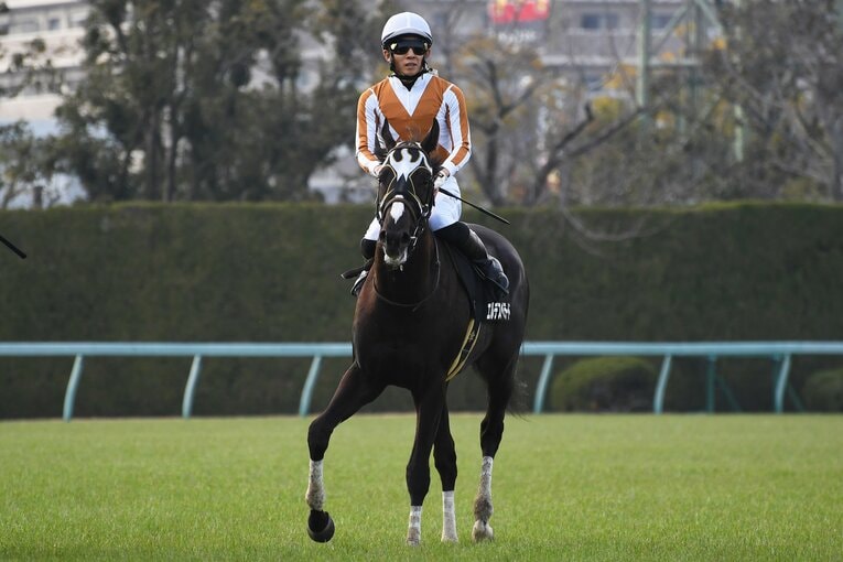 ゆきやなぎ賞レース後のエルデスペラード号　©Masashi Hara