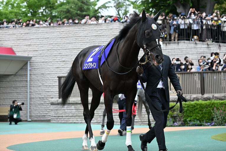 ソダシが見せた「アーモンドアイ、グランアレグリアに匹敵する圧勝劇」 “気難しいアイドル”が好走できた2つの理由《ヴィクトリアマイル》(34)