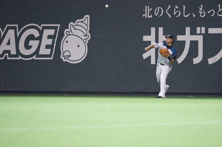 2015年　©︎Nanae Suzuki