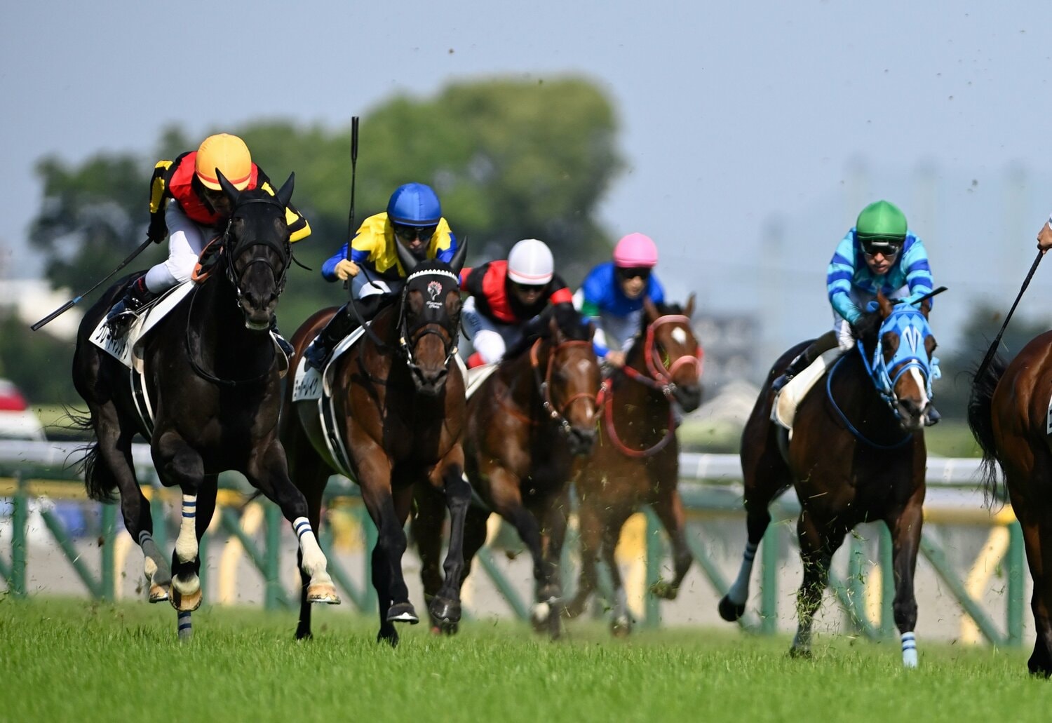 日本ダービーでは大外から追い上げを見せ、世代の頂点を競り合う。1着シャフリヤールとの差は0秒2だった ©Keiji Ishikawa