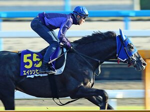 「極端な結果」が多い天皇賞・秋。エイシンヒカリは最後に掴まるのか。