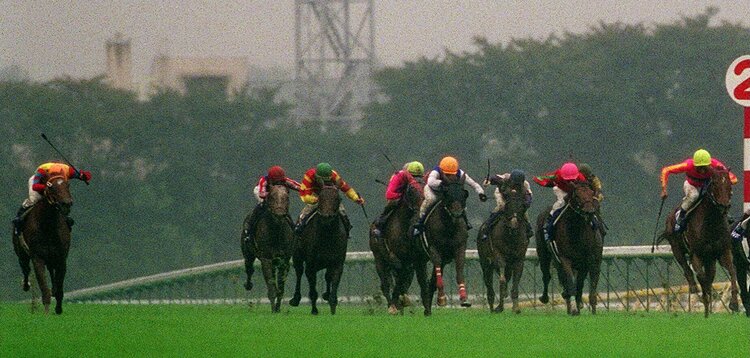 今年もこの2頭か…」からの衝撃 “絶対王者”テイエムオペラオーを“21世紀