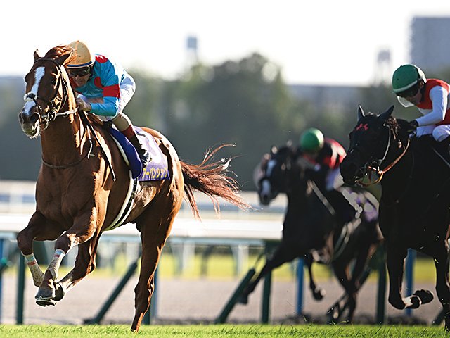第85回菊花賞］急流がもたらした明暗 - 競馬 - Number Web - ナンバー