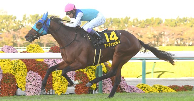 「6億円で0戦0勝」の馬も…セレクトセール“高額落札馬は走らない”は真実か？  歴代トップ10の“意外なその後”「自分の値段以上に稼いだ馬は…」（2／3） - 競馬 - Number Web - ナンバー