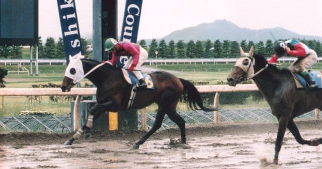 競馬 カード アルバム 大量 まとめて 中央 地方 名馬 伝説