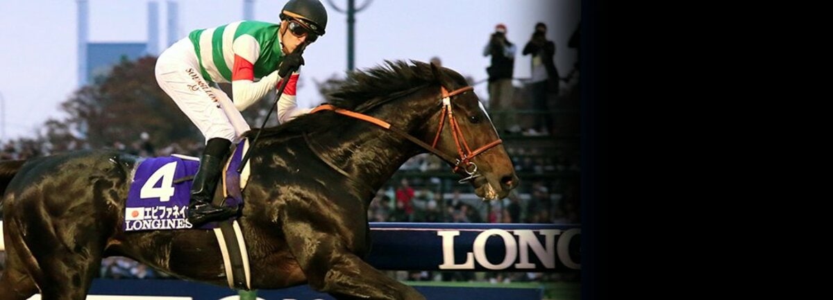 JC制覇エピファネイア、世界最強へ。掛かっても突き抜けた「圧勝」の