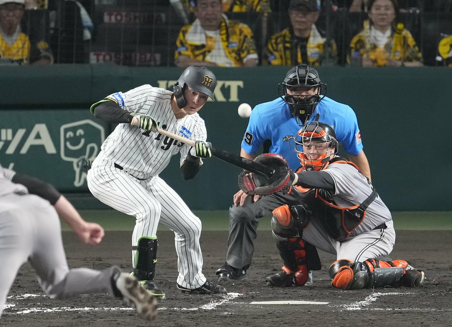 8月30日、送りバントに失敗。その後、走らなかったプレーに対して藤川監督から苦言を呈された ©Sankei Shimbun