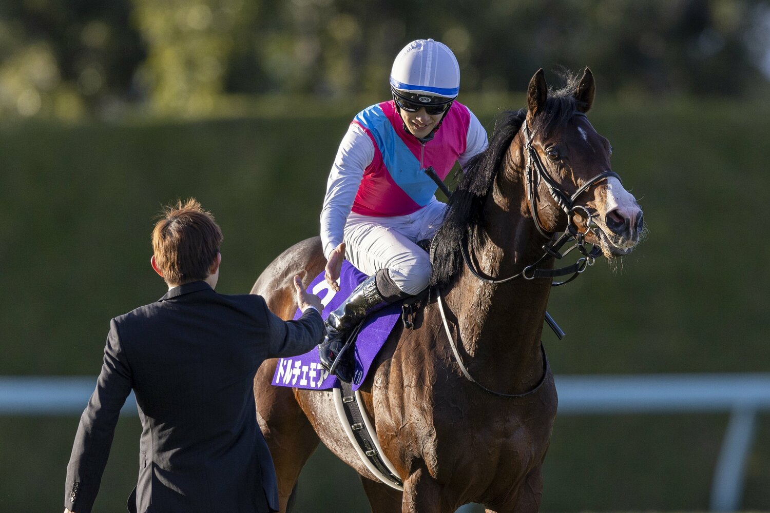 坂井瑠星にとっては、2度目のGI勝利となった　©Photostud