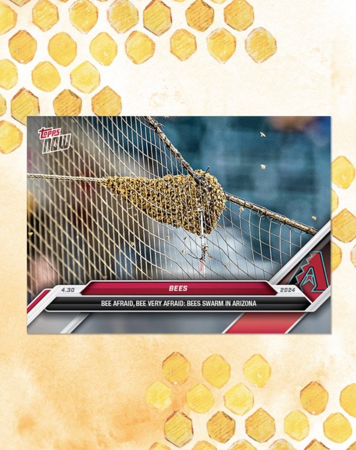 蜂のカード※Toppsの「X」ポストより